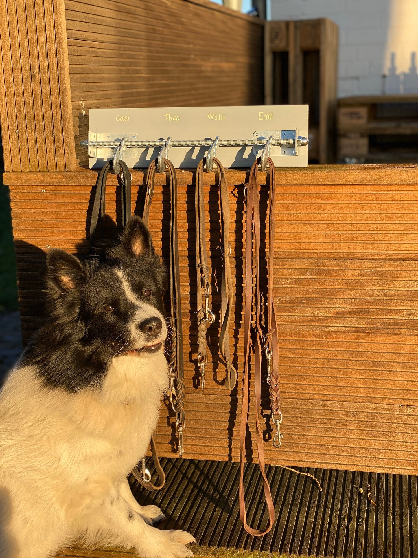 Hundeleinen Board mit Gravur